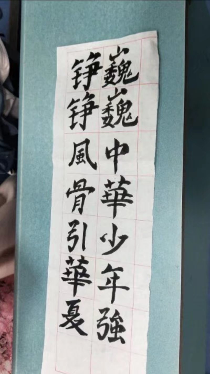 “巍巍中华少年强,铮铮风骨引华夏” 团组织活动