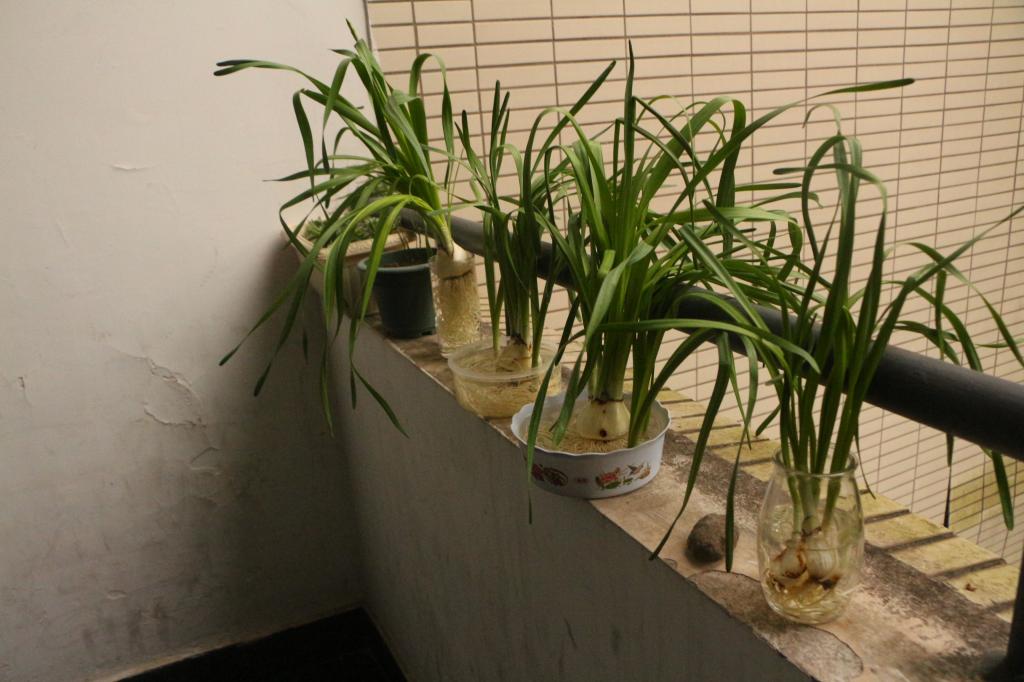 太阳成tyc234cc领导慰问2018届考研学生