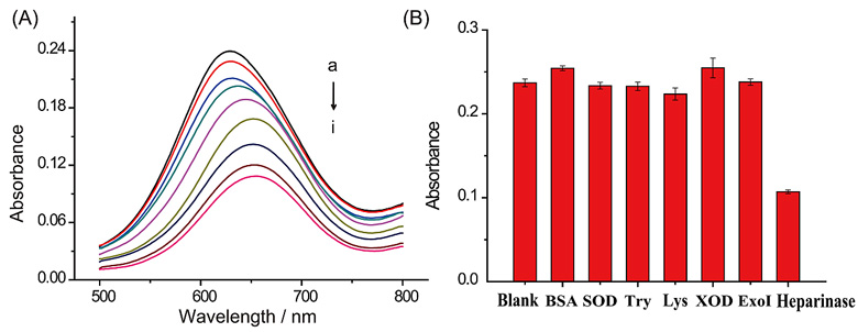 图三.(A)不同肝素酶浓度条件下金纳米簇催化体系的吸光度;(B)该体系对肝素酶的选择性